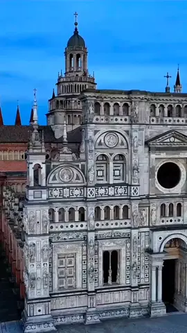 #algerie🇩🇿 #hasni_boss_official #oran #algerienne #الجزاير_المغرب_تونس🇩🇿🇹🇳🇲🇦 