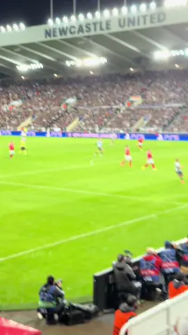 2-0 Harvey Barnes #nufc #newcastleunited #benfica #championsleague #newcastleupontyne
