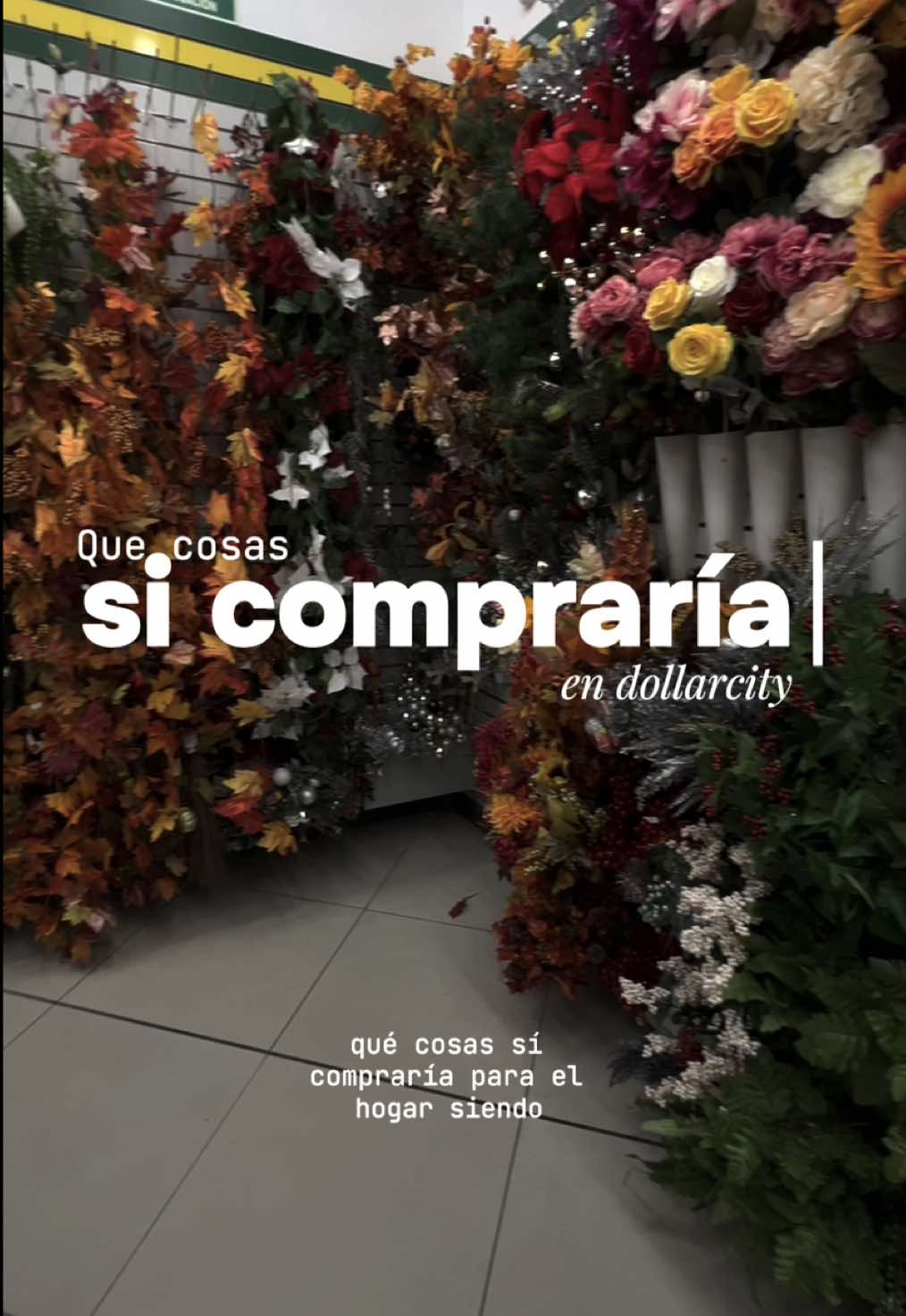 Qué cosas si compraría en dollarcity como arquitecta diseñadora 🍂🤍 ¿Que otra tienda debería visitar? 👀  #creatorsearchinsights #homedecor #dollarcity #diseñodeinteriores #decor 