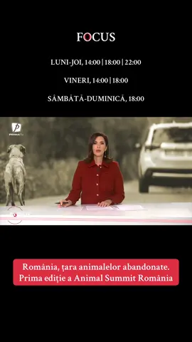 În România, zeci de mii de animale sunt abandonate pe străzi. Este doar una dintre problemele cu care se confruntă țara noastră la capitolul bunăstării animalelor. În aceste zile se vor căuta soluții la toate problemele legate de animalele abandonate, în premieră,  la un summit dedicat necuvântătoarelor  #primatv #focusprimatv