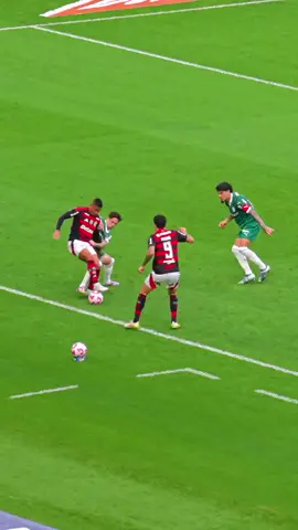 Melhores momento de Pedro Guilherme Flamengo x palmeiras  #flamengo #palmeiras #classico #pedroflamengo #flamengoxpalmeiras 