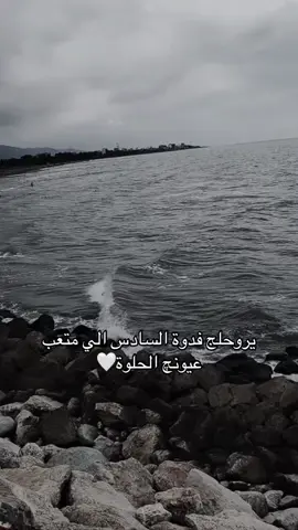 مو يدللون عليك طلاب السادس ❤️❤️#رابع_علمي #اكسبلورexplore #مالي_خلق_احط_هاشتاقات #تحفيز #امتحانات 