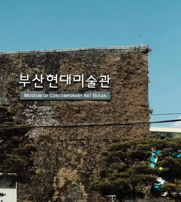 이 사진을 어디서 찍었는지 맞혀봐요.