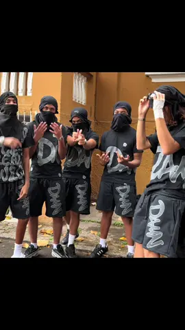 primeiro drop da @damnexpression já disponível em damn.com.br #fy #viral #moda 