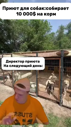 #мелстрой #мелстройнарезка #mellstroygame #fyp @mellstroy 