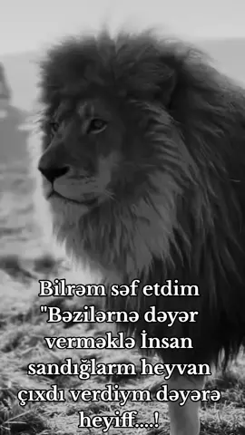 #kesvettiktok #kesfetteyiz #akdivlikölüb🤧 #keşvet #keşvetbeniöneçıkar 