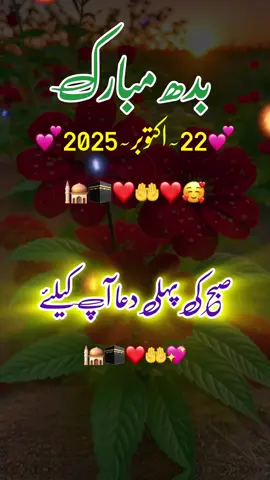 Happy Wednesday good morning status ❤️22-October-2025#fypシ #goodmorning #trending #fypシ 