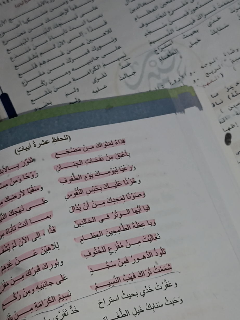 🥹🤍 . . . #سادسيون #سادس #الجواهري #فداء_لمثواك_من_مضجع #دفعة2826 