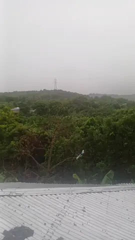 Y si soy de mi campito y me encanta#campo #Agua#THEMINISTRO 