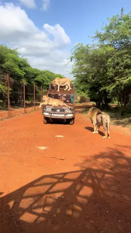 #pourtoi#tiktok#franc# pourtoi#tiktok#allemagne#