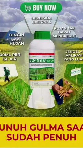 herbisida ini yakin bisalebih cepat membasmi  hama dan gulma rumput,,, yoo beli sekarang mungpung masih promo #fypシ゚ #herbisida #herbisidarumput #petaniindonesia🇮🇩🇮🇩🇮🇩🌿🌿 #petanimodern 