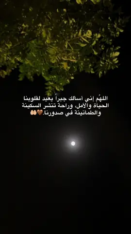 #اللهم_امين #یارب_العالمیــــــــــن🤲🏻🥺 