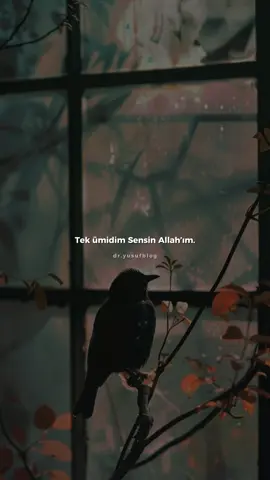 Umudumuz var Rabbim çok şükür 🤲