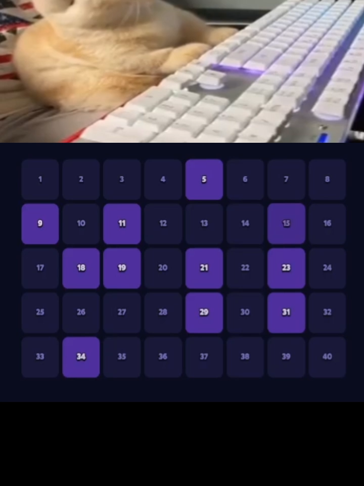 Cats loves Keno