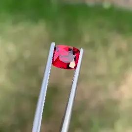 #gemstone #viral  Rhodolite garnet Cushion cut Red color Origin Africa #tiktok #foryou  🌍 Wazir Miners Wholesale Hello! We are gemstone wholesalers based in Bangkok, Thailand 🇹🇭 We deal in all types of gemstones — Birthstones, Religious Stones & Natural Gems. We offer high quality stones at wholesale prices with worldwide shipping 🌎 🛍️ Visit us: Ebay: https://ebay.us/m/dS8BvX Etsy: https://wazirminers.etsy.com For any stone inquiry, feel free to message us 💎