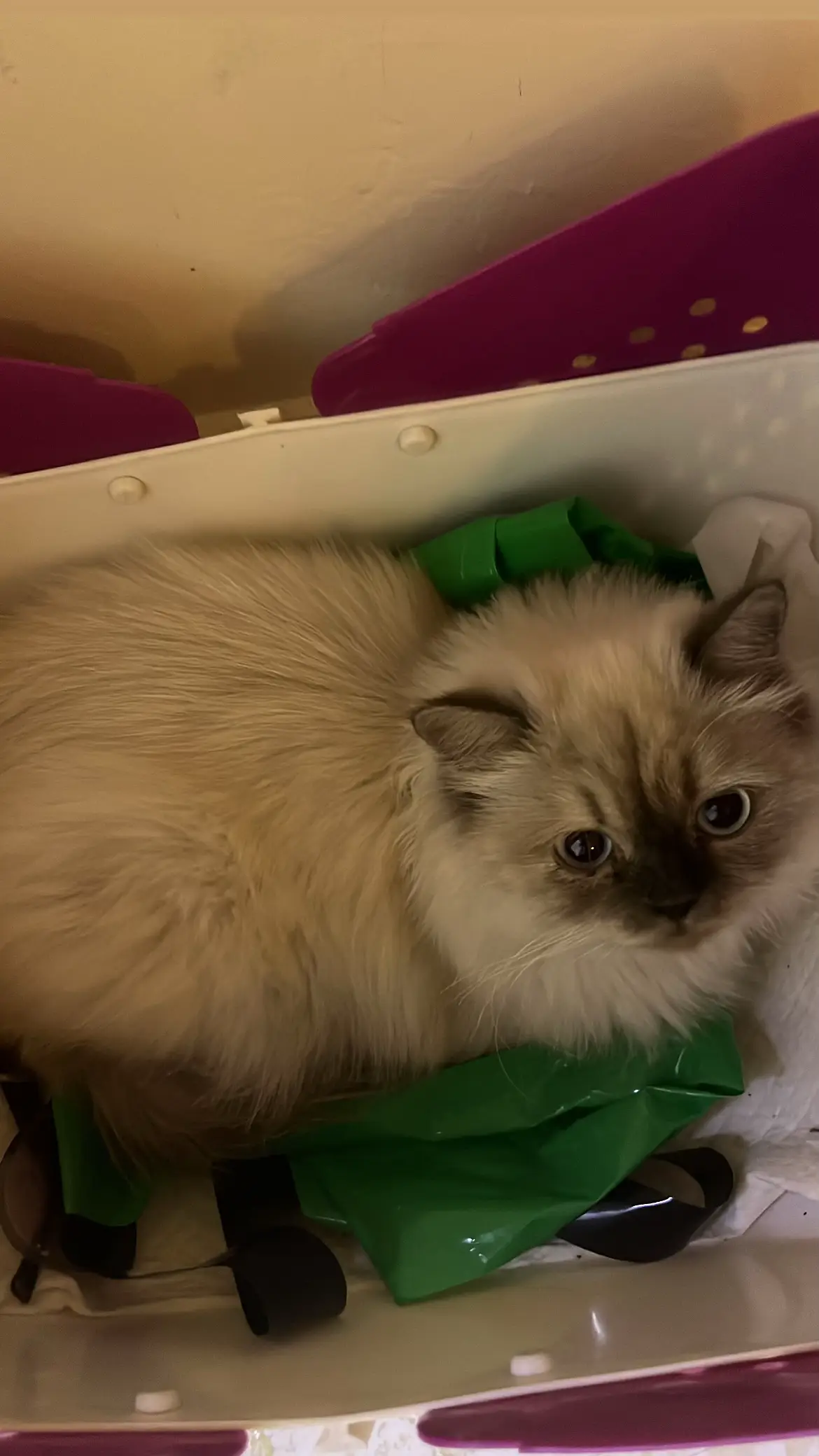 اخيرا اجتزت التدريب مع انه كان متعب جدا لكن الحمدلله 🙏🏻