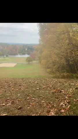 High jumps are so hard on grass in my opinion 😭 this was a small jump but I still liked it :D fire recording skills from my gf 😎 #otherpaw #theriantiktok #quadrobics #smalljump #antihate @⋆☾ ╶⃝⃤ ⭐️🌿Fern🌿⭐️ -⃝⃤ ☽⋆ 