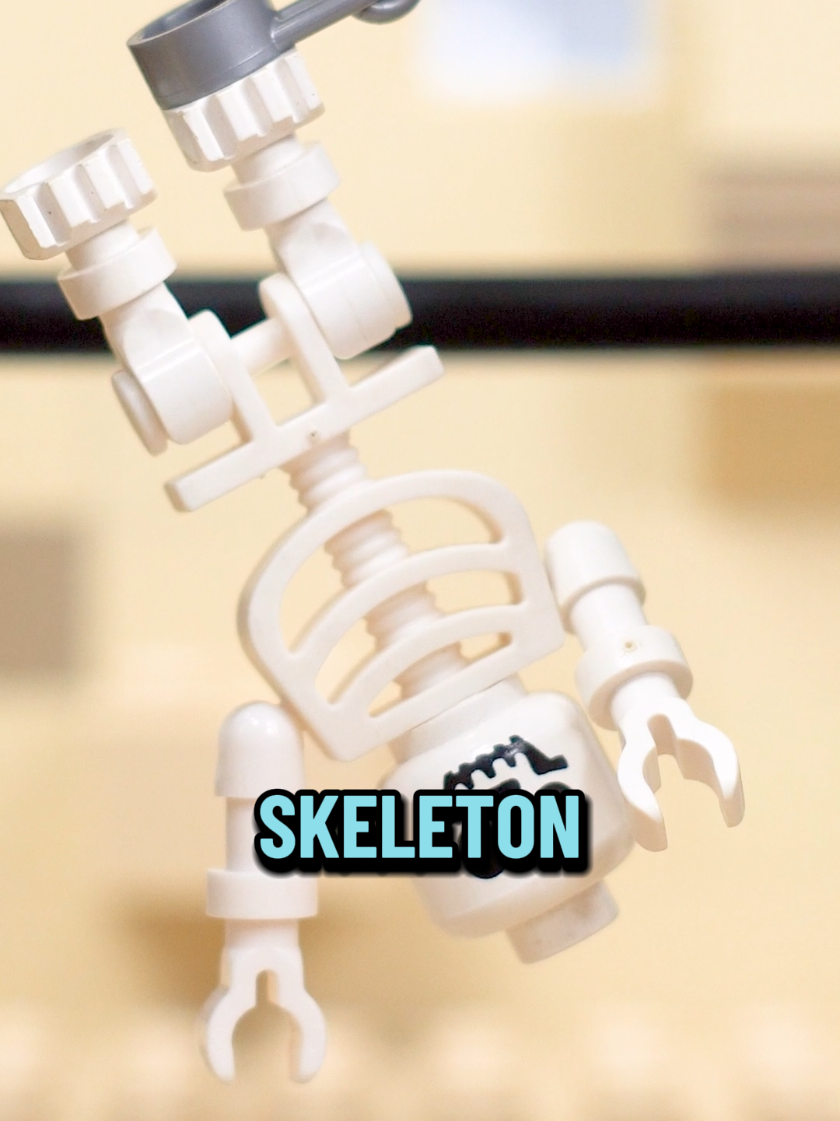 Did you ever have one of these figures? The arms are super fun. #lego #minifigures #legotiktok #legocollector #fyp Random Minifig of the day - Skeleton (Classic)