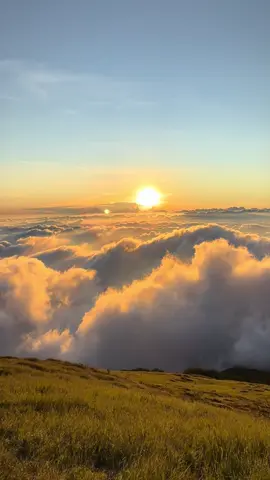 #gunungsumbing #sumbingviagajahmungkur #lautanawan #lewatberanda #fyppppppppppppppppppppppp 