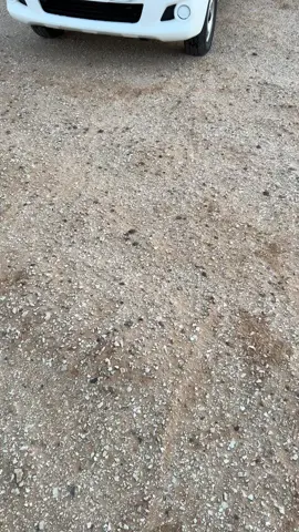 #القريات #هايلكس #fyp                      