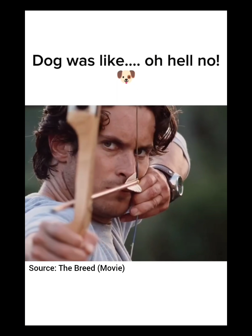 He really thought he was being helpful  Even the dog knew to get out the way Source: The Breed (Movie) #tuesdayvibes #thebreed #dogs #archer #accidentshappen