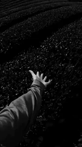 #عبارات_حزينه💔 #اقتباسات #اقتباس  #عباراتكم_الفخمه📿📌 