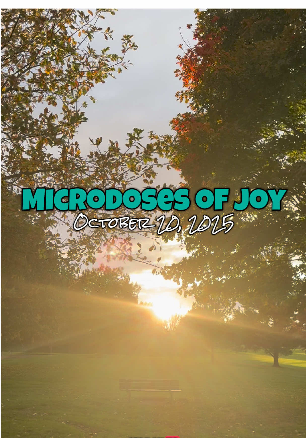 A sweet treat at lunch, a particularly gorgeous walk, and an unexpected Monday movie night 🍪🌳☀️🍿📺 #microdosesofjoy #microdosingjoy #itsthelittlethings #dailylife #createhappiness 