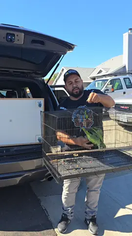 #foryou #videooftheday #mancitoscomolesgustaalaraza #viral #trending 