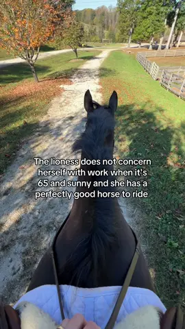Work should be cancelled in the Fall for equestrians 😏