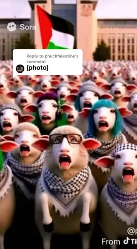 Replying to @phuckfalestine 😂😂 #nokings #trump #funny