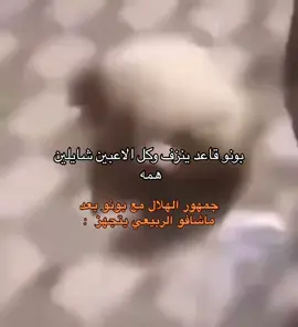 تكفى ياكوتش ‏#fyp ‏#dancewithpubgm ‏#foryou ‏#viralvideos ‏#viral ‏#fyp ‏#dancewithpubgm ‏#foryou ‏#viralvideos ‏#viral ‏#fyp ‏#dancewithpubgm ‏#foryou ‏#viralvideos ‏#viral
