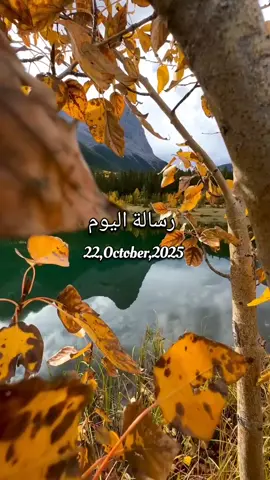 رسالة اليوم 22/10/2025 🕊️ Today's message رسالة إليك أرسل الفيديو لشخص تحبه 🌸🤍✨ لمن يرغب بحجز استشارة أو قراءة خاصة (مبنية على الحدس الإلهي) راسلني خاص🕊️ * ماهي القراءة الخاصة؟!  هي رسالة اقوم بكتابتها لك خصيصاً بناءاً على حدسي فقط , ربما ما تحتاج لسماعه في هذا التوقيت , أسباب مشاكلك , ما يعرقل تشافيك , ما هو سبب التعطيل واضيف بعض النصائح لكي تساعدك على معرفة نقاط ضعفك فتشتغل عليها . * الاستشارة تكون عن مشكلة ما أنت تواجهها وتعرف بالتحديد ما هي على سبيل المثال في التشافي أو صدمات الطفولة أو أي شئ في حياتك تسعى للتطوير منه ولا تعرف الكيفية ومن أين تبدأ ( عاطفة ، عمل ، علاقات ... إلخ ) بالإضافة إلى أي استفسار في مجال الوعي وتطوير الذات والتشافي والروحانية بشكل عام. ⛔ تنبيه هام : أنا لا أبارك سرقة فيديوهاتي وجميع محتوياتي مشحونة بحيث أن من يسرقها وينسبها إلى نفسه تصيبه كارما سلبية ، مسموح فقط بأخذها كحالة أو للاستخدام الشخصي . #تبسيط #رسالة #رسالة_اليوم #اكسبلور_فولو #اكسبلور            