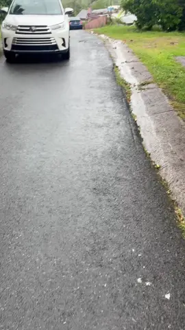 Noticia Denuncia: Me Enviaron Este Video No soy persona de hacerle daño a nadie pero esta situación me partió el alma. Estoy subiendo para mi casa y veo este caballero que va como a 10 millas. A todas estas no me había fijado que traía a este perro arrastrándolo con su guagua le pasamos por el lado y veo al perro que ya no podía caminar más le digo a mi esposo párate que no puedo creer lo que esta persona está haciendo. Me bajé y le pregunto por qué lo lleva así y no lo monto en su guagua y me dice que el perro es de él que según él no lo subió porque el perro lo mordió me fijé en el perro y están lleno de sangre en su oreja izquierda. El caballero me dice que lo ayude a subir el perro a la guagua cosa que no hago por el coraje y la impotencia de lo que él está haciéndole al perro le digo que le voy a llamar la policía se pone nervioso y trepa al perro y se va. Acto seguido como a los 5 minutos me pasa por el lado y no sé qué hizo con el perro si alguien del barrio Beatriz Sector Las Piñas de Caguas y barrios aledaños puede identificar al caballero dejen saber por qué no sé que hizo con el perro que está herido. Subió para el área de Los Fernández y Rancho Bollero, no sé si lo soltó por ahí. Está práctica lleva mucho tiempo en este sector ya que se han avistado abandonos de animales en los últimos meses. No podemos dejar pasar esto, el perro también es un ser vivo y tiene derecho a que lo traten con amor.