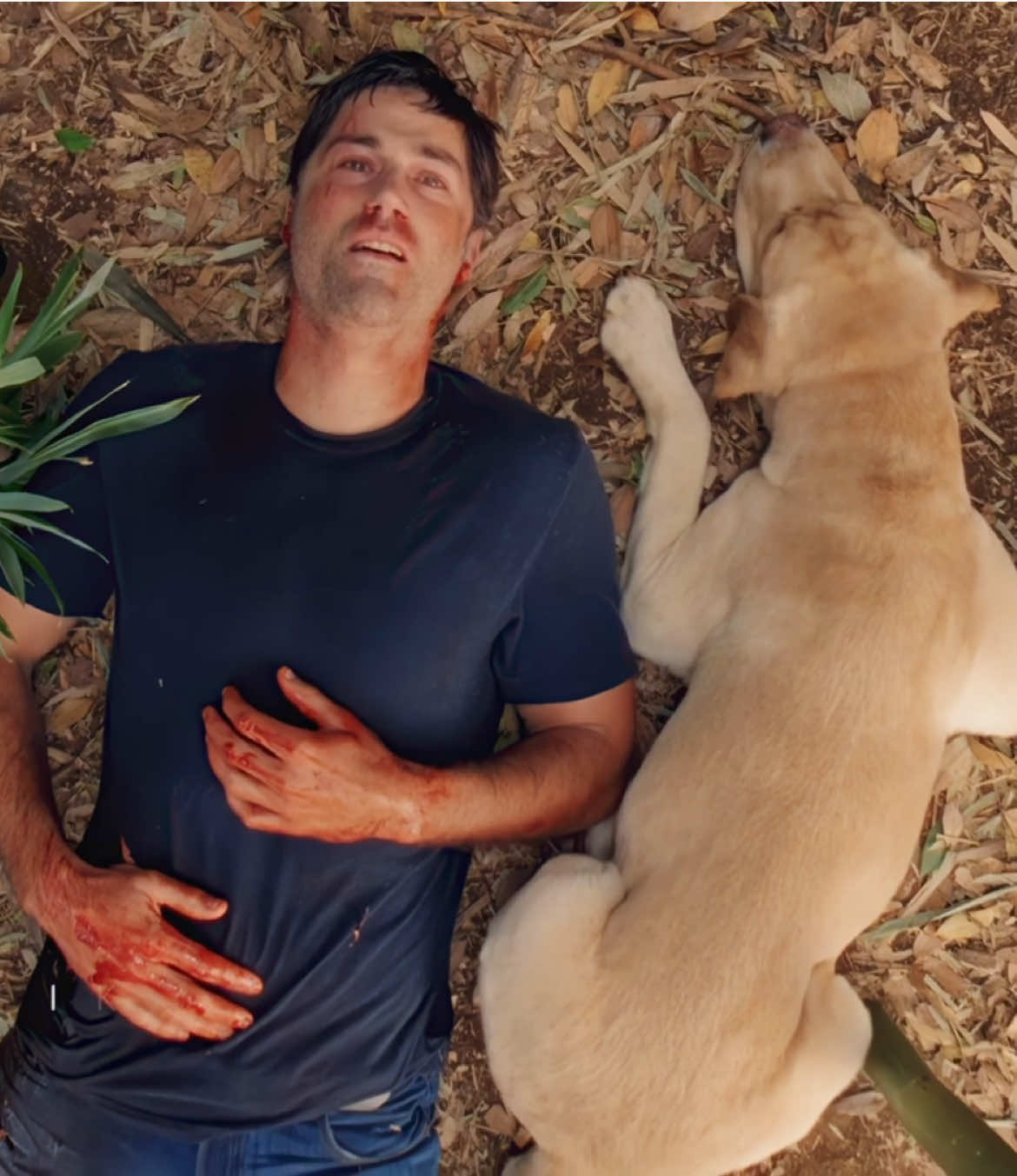 “You needed all of them and they needed you” // LOST // #lost #lostedit #losttvshow #edit #mediatok @ronyarrrrrrrr @meridius @Okend Ty for the topaz ❤️ @visualkei @𝓣𝓻𝓲𝓼𝓽𝓪𝓷 @walker @Ace21 @𝙠𝙞𝙣𝙜 @3z3olovestv @auovel @♱ 𝗚𝗥𝗜𝗠𝗘𝗦 ♱ 