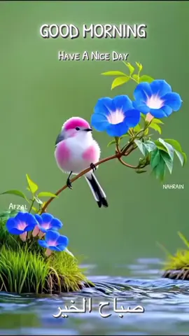 🌺നാളെ വേദനിക്കാൻ തക്കവണ്ണം  🌺മനസ്സിനെ പാകപ്പെടുത്തി വേണം  🌺ഇന്ന് ഏതൊരു ബന്ധത്തെയും  🌺ചേർത്ത് പിടിക്കാൻ..!!! GOOD MORNING🌹#flute #goodmorning #goodmorningvibes #flower #NatureLover 