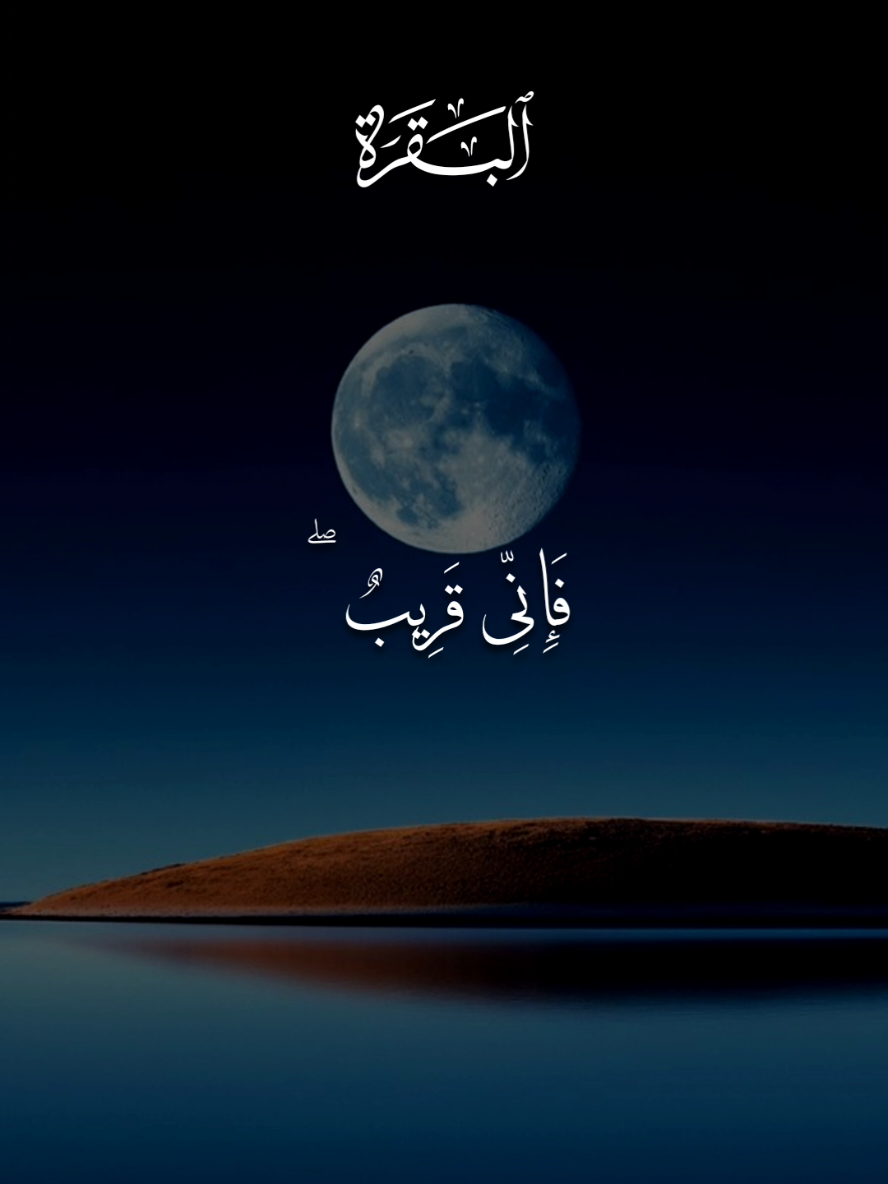 سورة البقرة - بلال دربالي 🤍  #قران #بلال_دربالي #اللهم_صلي_على_نبينا_محمد #قران_كريم #fyp 