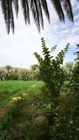 يسعدني زيارتك للحساب✨🩶#تصويري #تصميمي #محمد_المقحم #كلام_من_القلب #الريف  