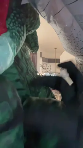 #dinofamily #inflateable #dinos #halloween2025