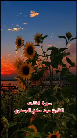#اجر_لي_ولكم_ولوالدينا_وللمسلمين #صدقة_جارية #foryoupage❤️❤️ #قارئ_سيد_صادق_الجعفري #سورة_الفاتحة 