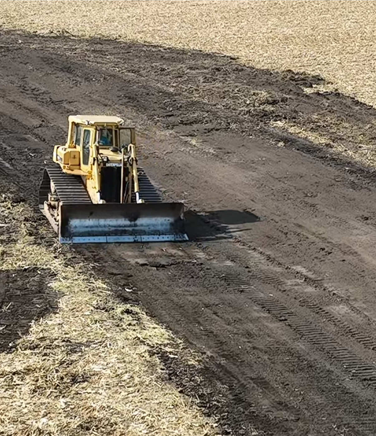 A lot going on in this triangle of fields. Some beautiful corn harvest action of @MAYA Corn Heads and #brandtag 1350dxt grain cart. Some 30” wheat I am trialing as a cover crop this year, and some water way reshape and adding another waterway.  #harvest2025 #mayacornheads #johndeere #covercrop 