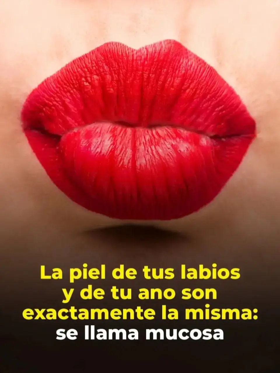 El cuerpo humano es verdaderamente increíble y su anatomía siempre es capaz de sorprender. Así que no te extrañes cuando te enteres de que el tejido que se encuentra en tus labios es exactamente el mismo que se encuentra allí abajo, en tu ano. Probablemente nunca habías sacado esta conclusión y lo entendemos, pero la lógica que hay detrás es incuestionable: básicamente esas dos partes de tu cuerpo son los extremos de tu tracto digestivo, que por dentro también está recubierto por este tejido húmedo y duradero llamado mucosa. Además de proteger el tracto, la mucosa ayuda en los procesos de digestión y las tareas sensoriales. Así que cuando estás besando a alguien, es como si estuvieras besando un… bueno, lo dejamos a tu imaginación. #labios #tractodigestivo #beso #historiasvisualesft #relatosvisualesec 