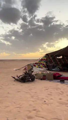 #fyppppppppppppppppppppppp #explorepage #fyp #شعب_الصيني_ماله_حل😂😂 #ليبيا🇱🇾 