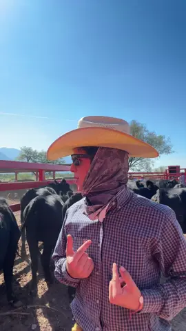 Vacas bailarinas #witto #vaquero #ranchlife #rancho 