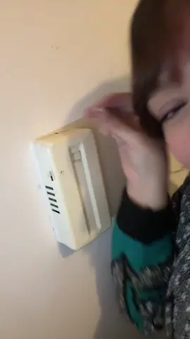 Update on the dinger 🔔 the dingers of the east #doyouhavetoletitdinger #nyc