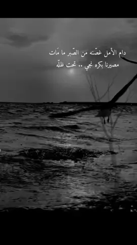 #في هذا اليوم 