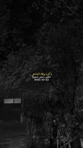 #lraq #basra  💔
