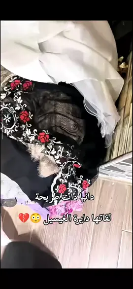 #soltanacherine9 #soltna1cheri #السطانة_شيرين #سلطانة_شيرين #soltanacheri 