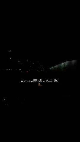 العقل شيخ و القلب سربوت #اكسبلور #ترند_السعودية_الان #تصميم_فيديوهات🎶🎤🎬 #عبارات #ستوريات 