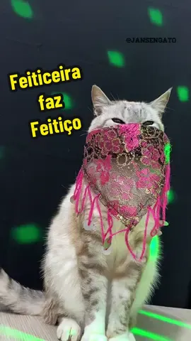 Feiticeira faz Feitiço 🧙 #gato #coreografia #pedrosampaio 