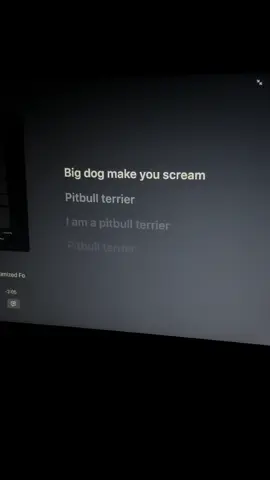 #pitbullterrier #dieantwoord #song #lyrics #fyp 